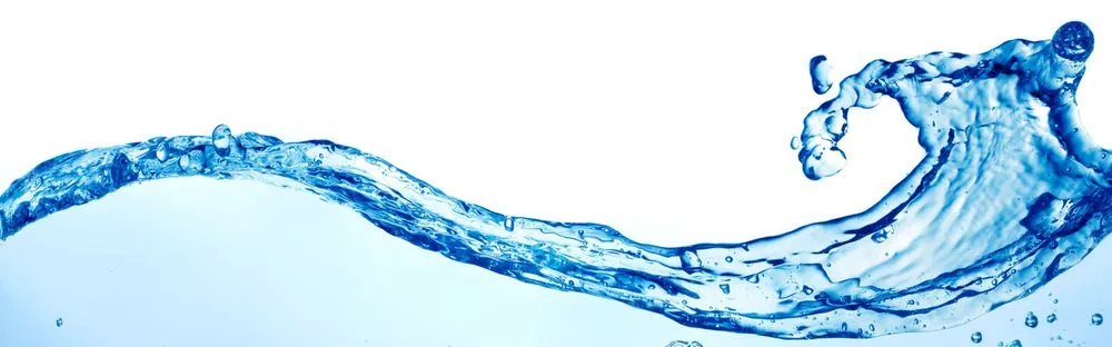 Slide of G. Burgess and Sons