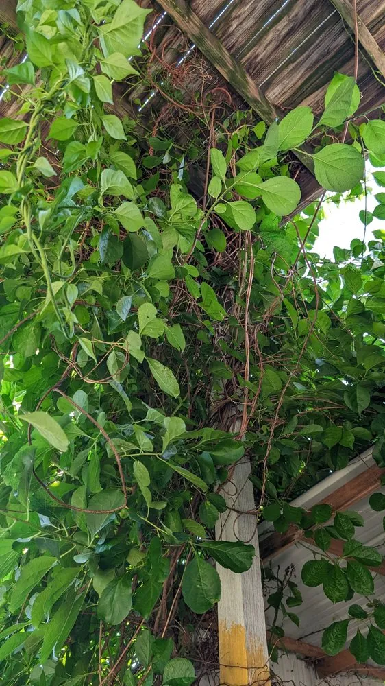 Slide of G2K Property Solutions