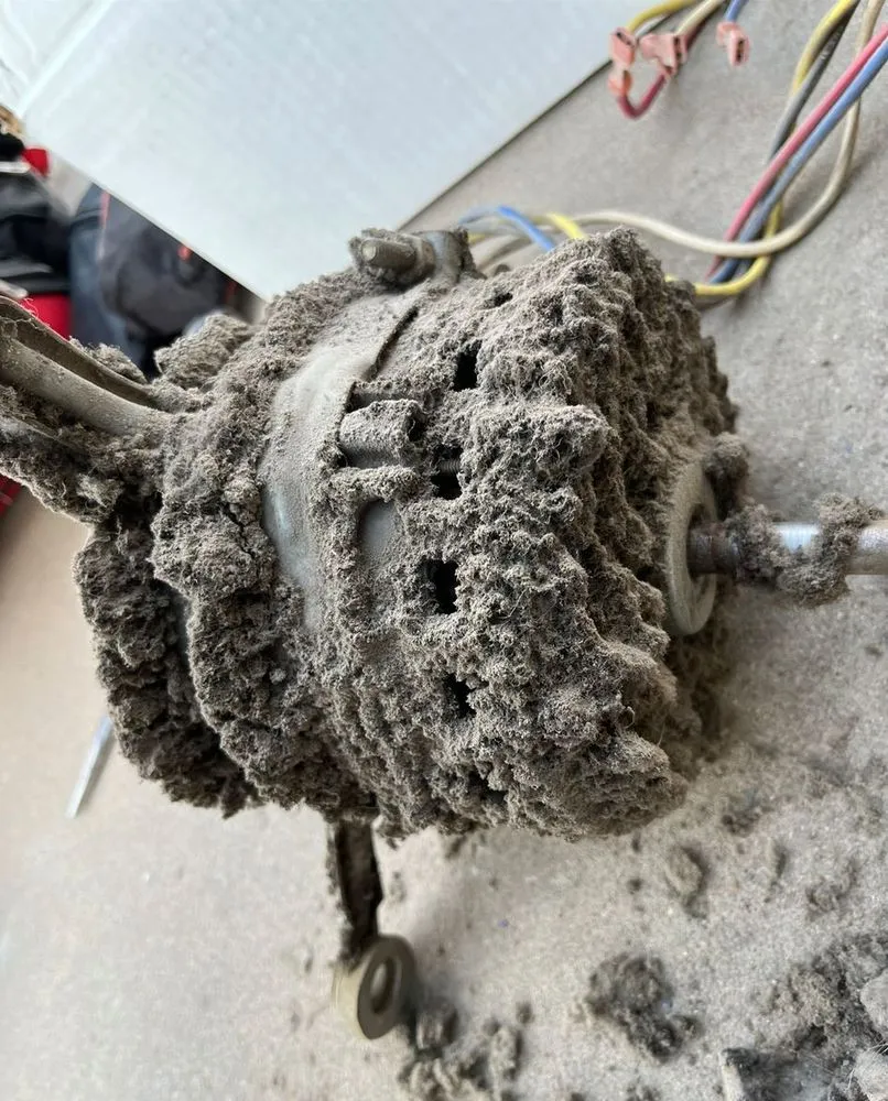 Slide of Gabriel Natividad