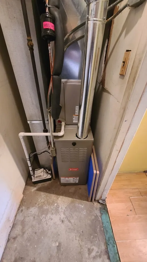 Slide of Gabriella Mechanical