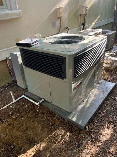 Slide of Gannun Loney