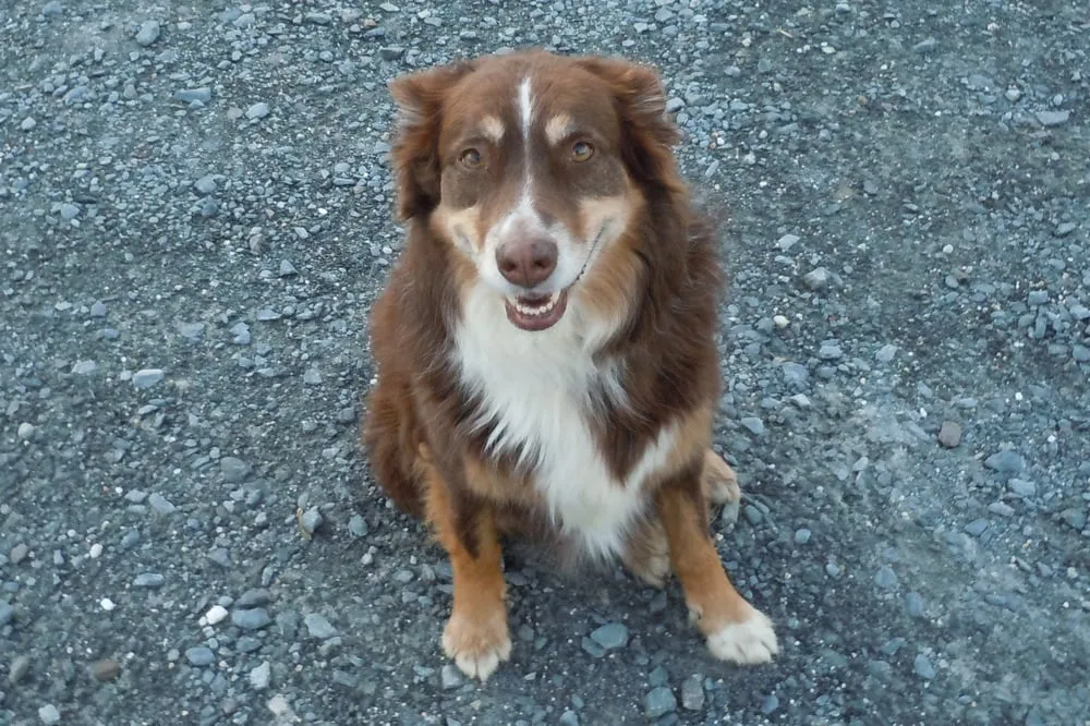Slide of Gardner Heating & Air