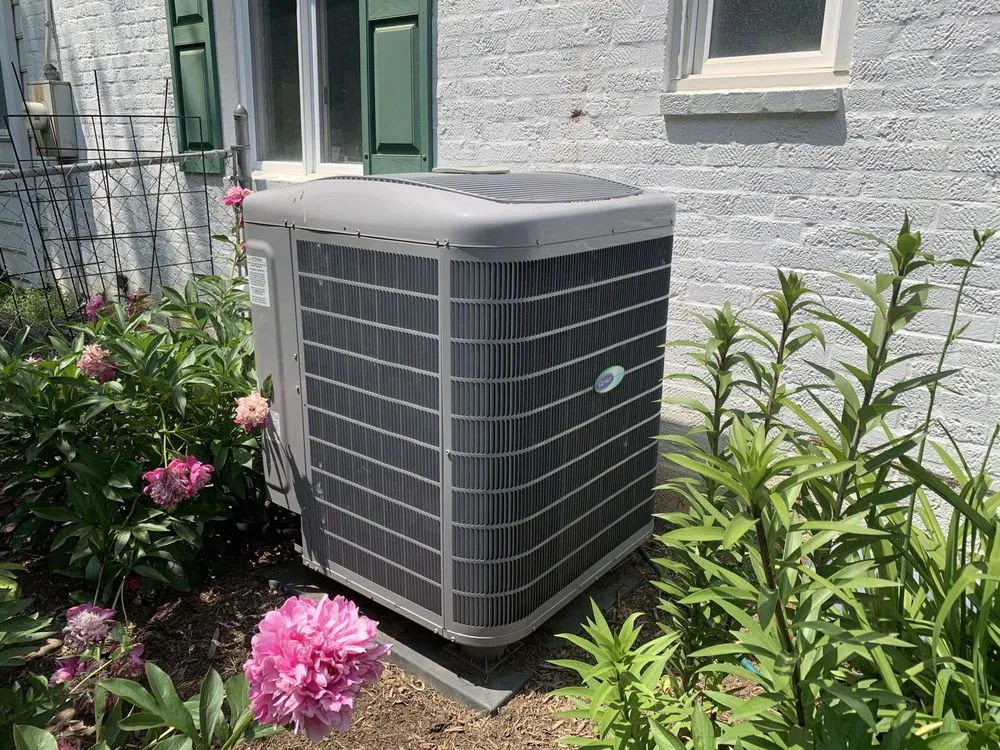 Slide of Gary P Frank