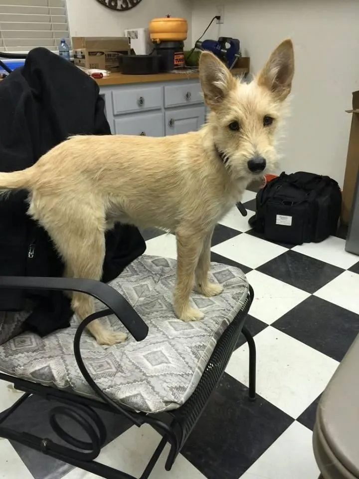 Slide of Gary's Heating And Air Conditioning