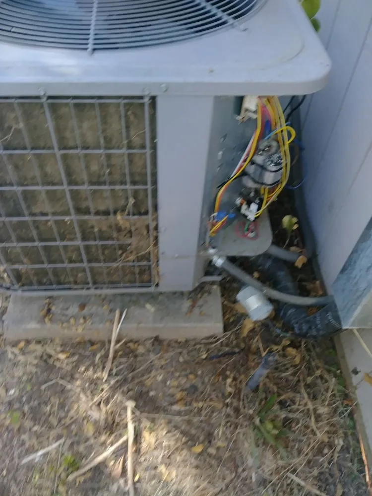 Slide of General Climate Systems