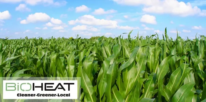 Slide of Genesee Energy