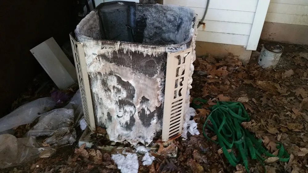 Slide of Gentle Care Property Maintenance & Repairs