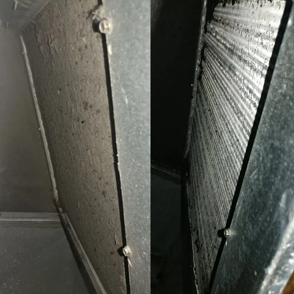 Slide of Gentle Care Property Maintenance & Repairs