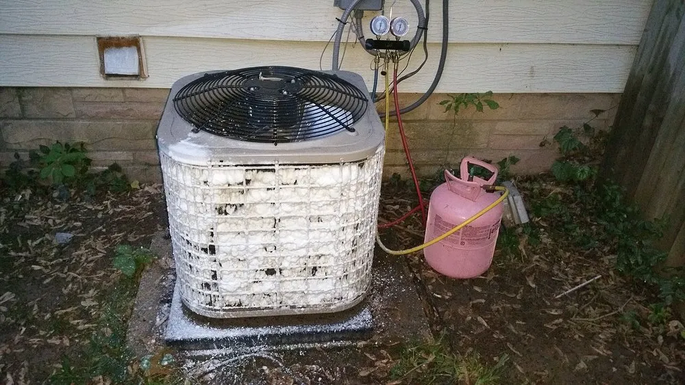 Slide of Gentle Care Property Maintenance & Repairs