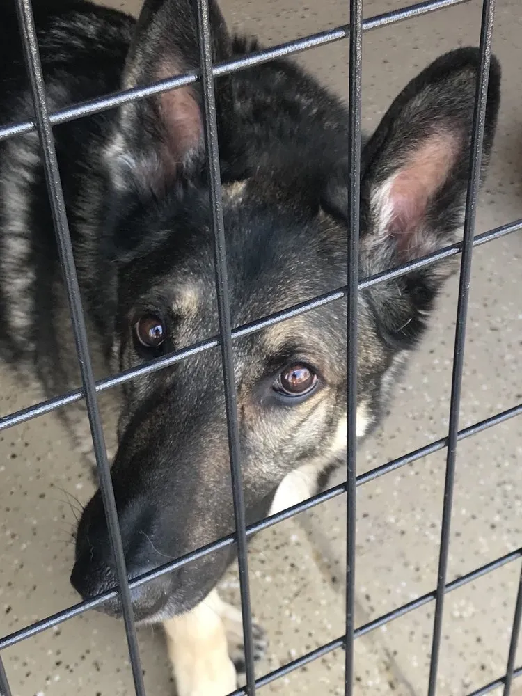 Slide of George Brazil Air Conditioning & Heating