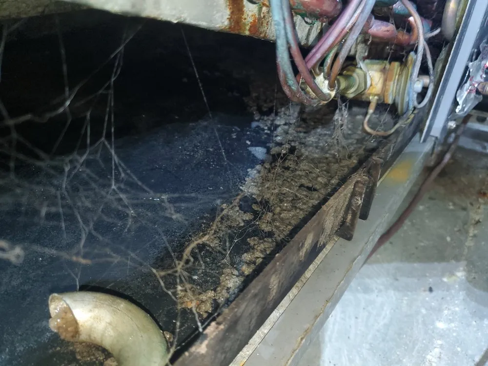 Slide of George's HVAC Service and Repair