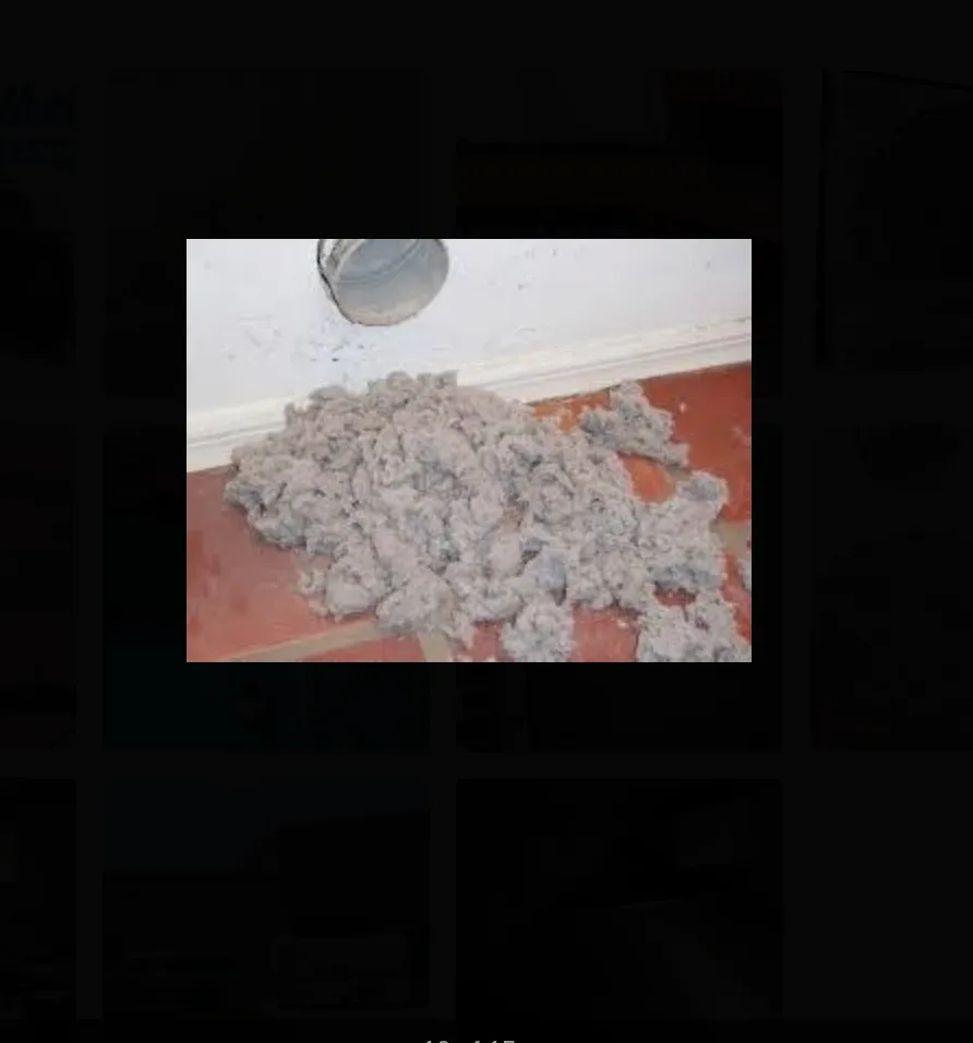 Slide of Gesundheit Air Quality Services