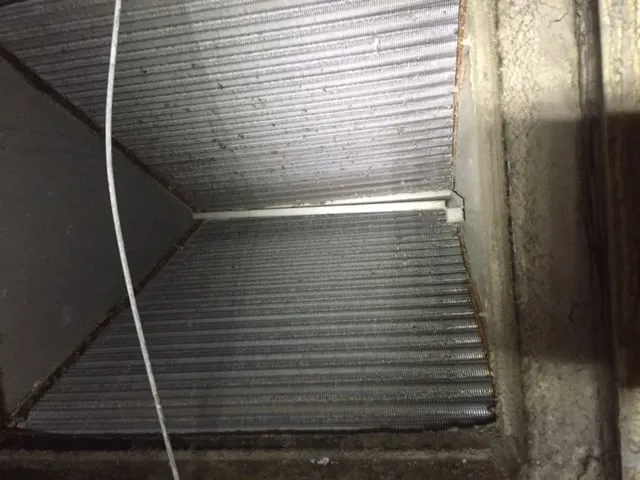 Slide of Getcha Cool