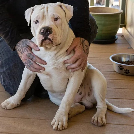 Slide of Ghost Plumbing & Air