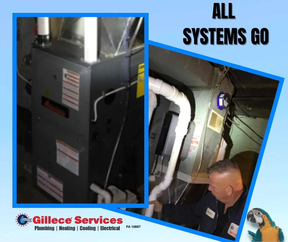 Slide of Gillece Services