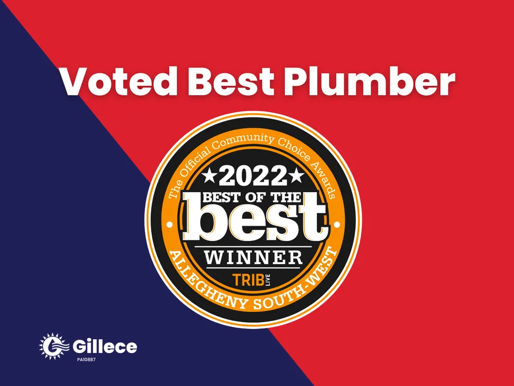 Slide of Gillece Services