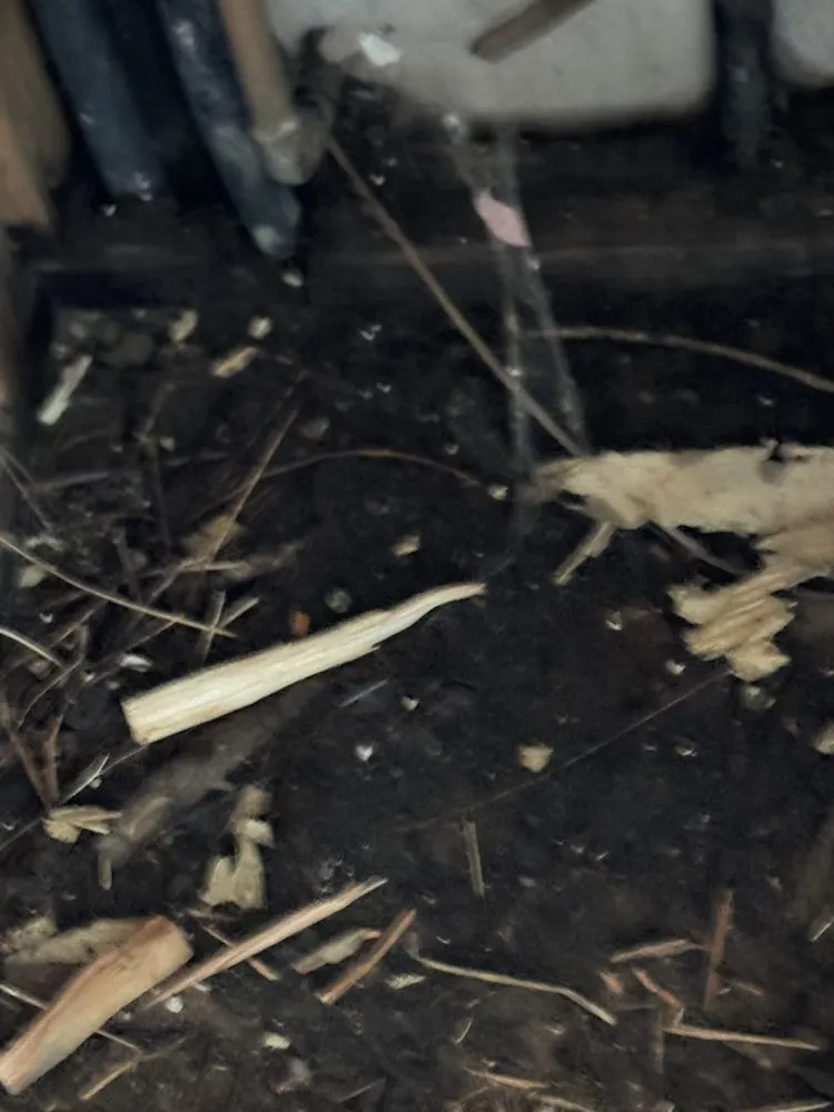 Slide of Gilley’s AC