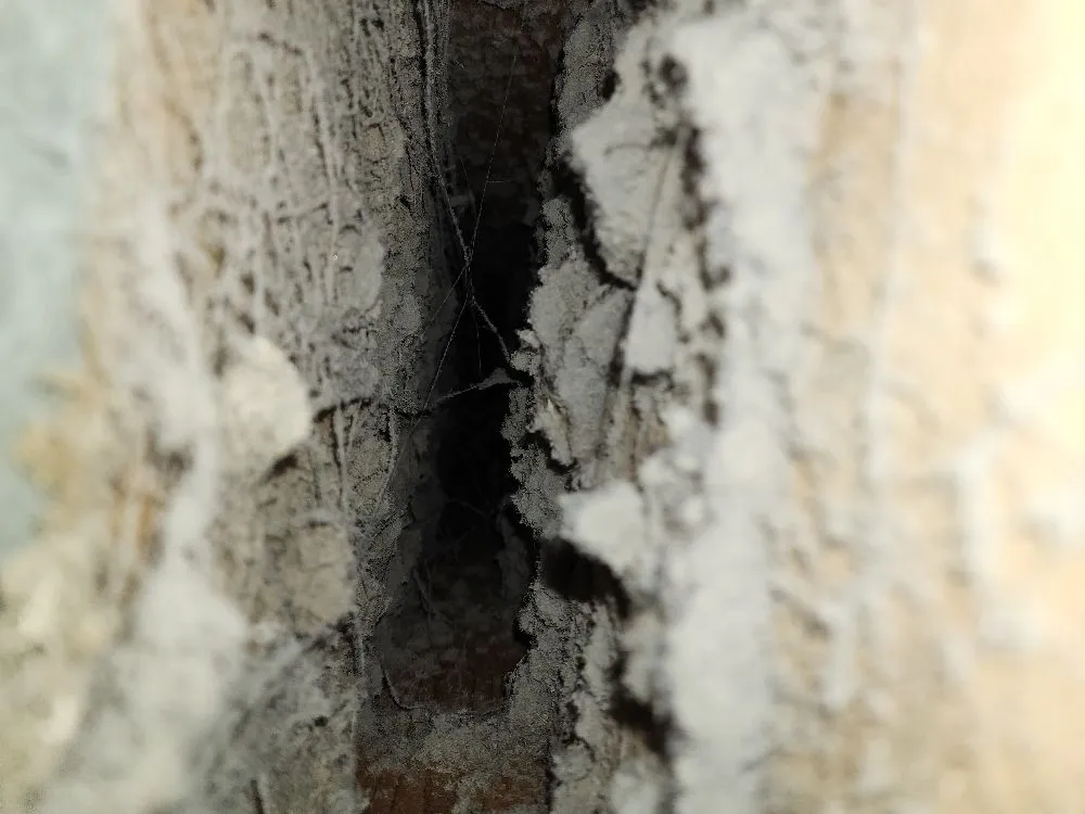 Slide of Glass City Duct and Vent Cleaning