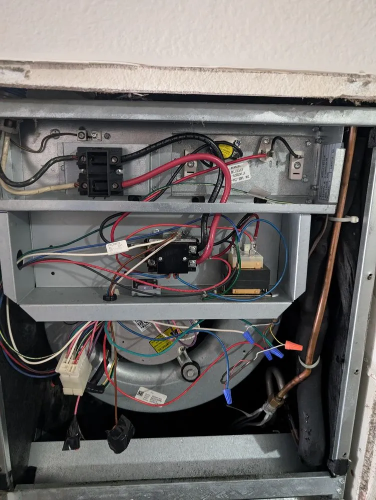 Slide of Global Winter