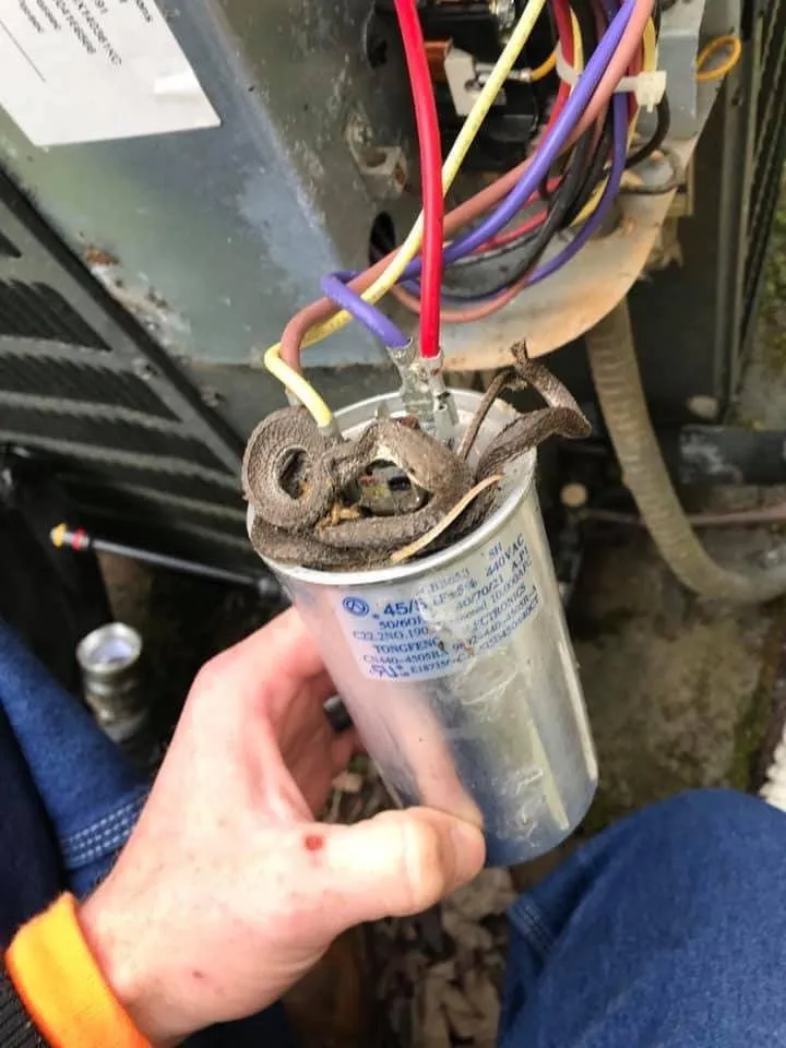 Slide of Go 2 Comfort