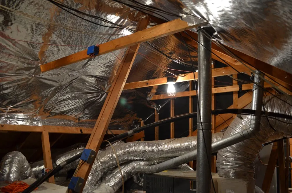 Slide of Go Green Squads