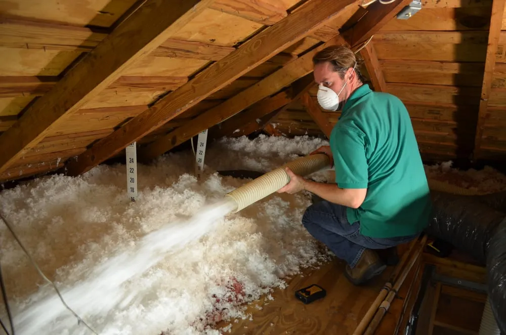 Slide of Go Green Squads