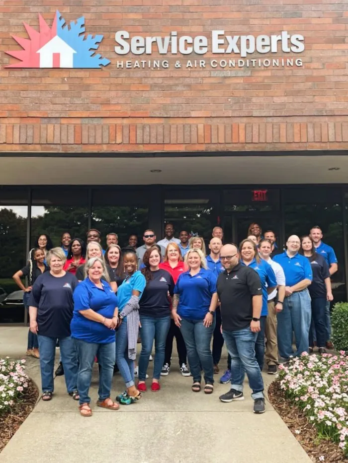 Slide of Go Solar Power, a Service Experts Company