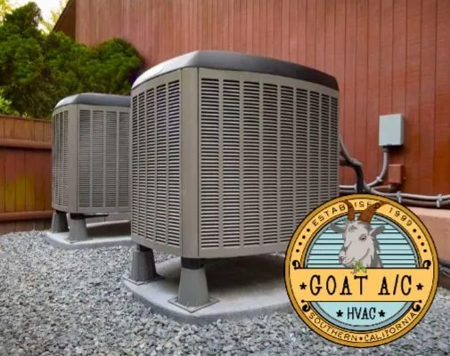 Slide of Goat AC