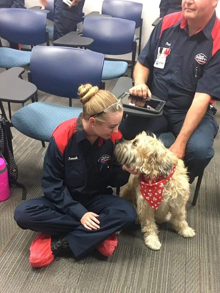 Slide of Goettl Air Conditioning and Plumbing - Reno