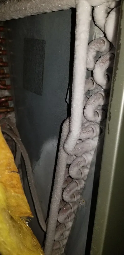 Slide of Going Green In The 303