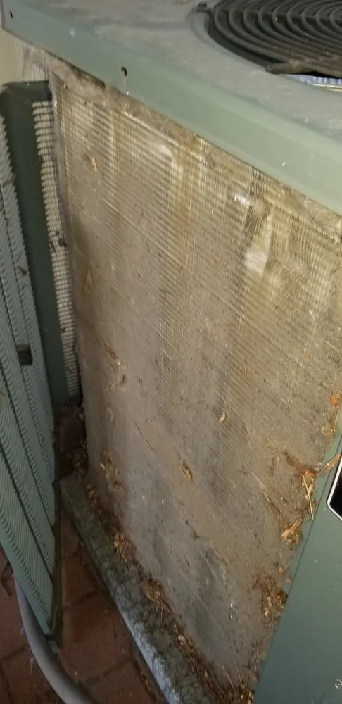 Slide of Going Green In The 303