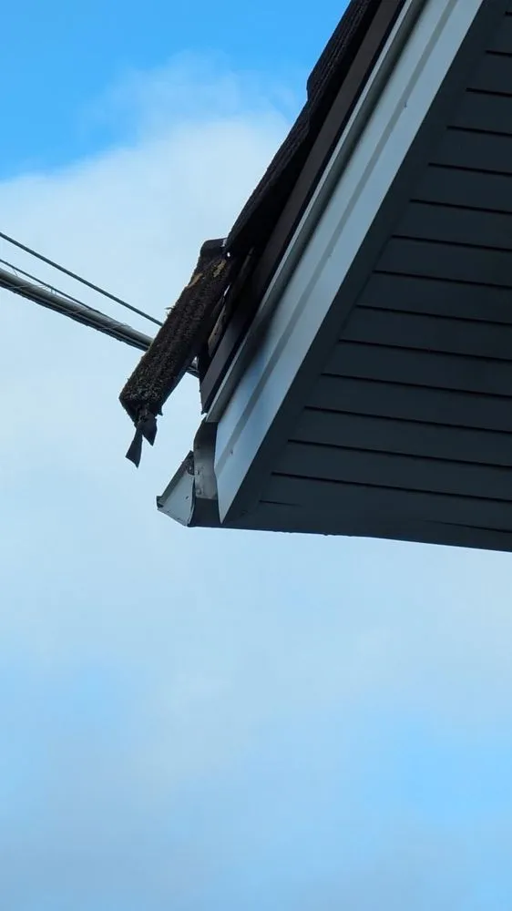 Slide of Gold Brand Service