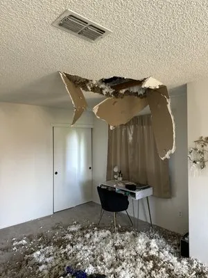 Gold Brand Service Logo