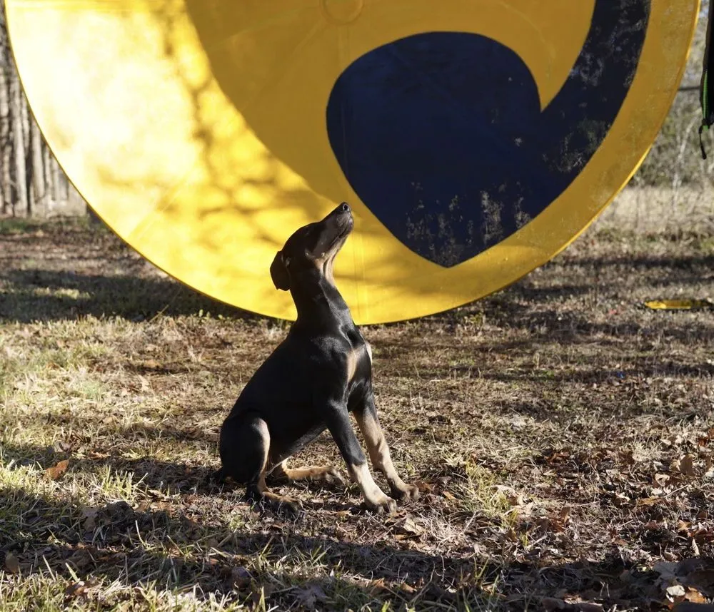 Slide of Gold Eagle Services