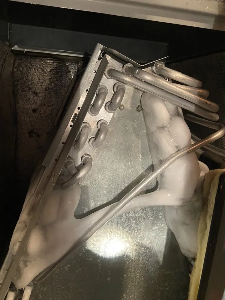 Slide of Gold Medal Service