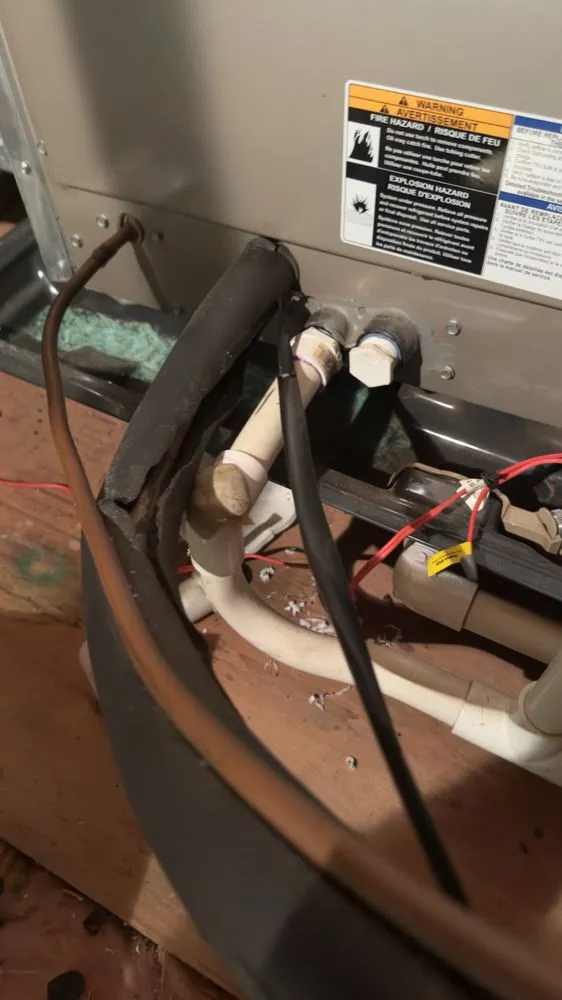 Slide of Gold Medal Service