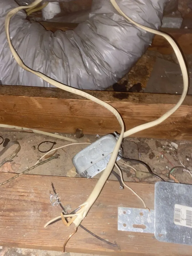 Slide of Gold Medal Service