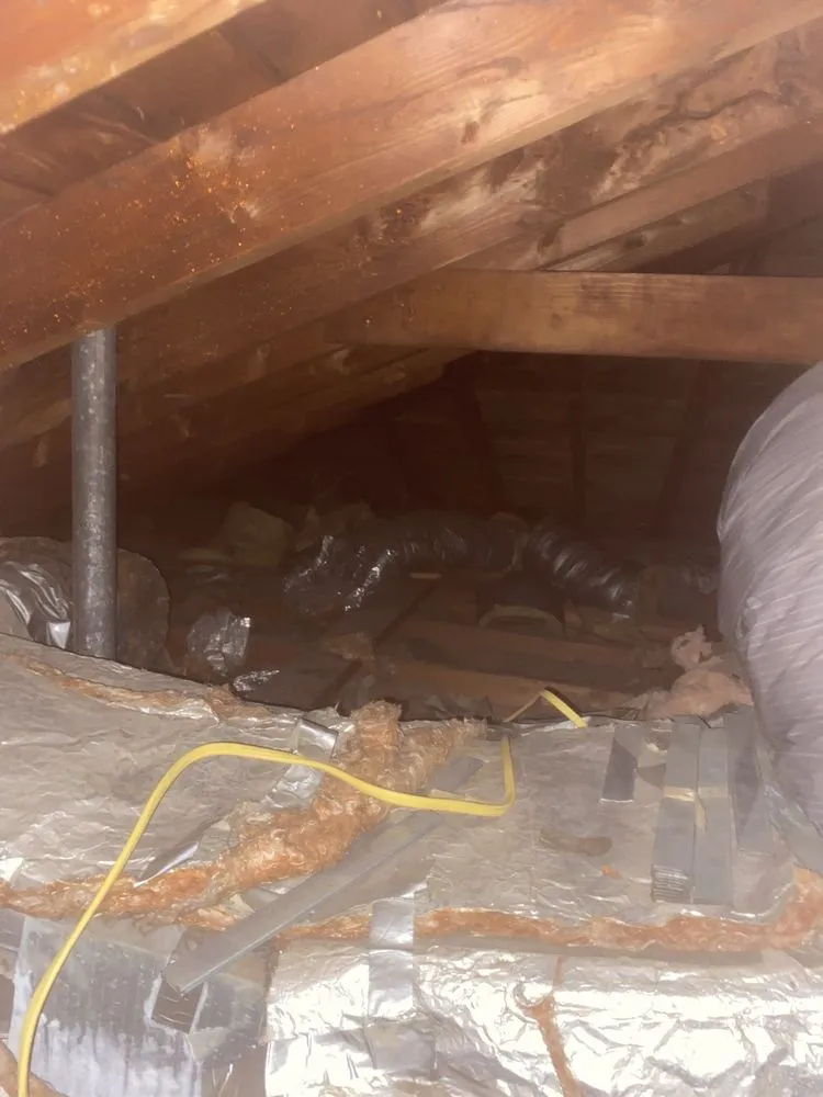 Slide of Gold Medal Service