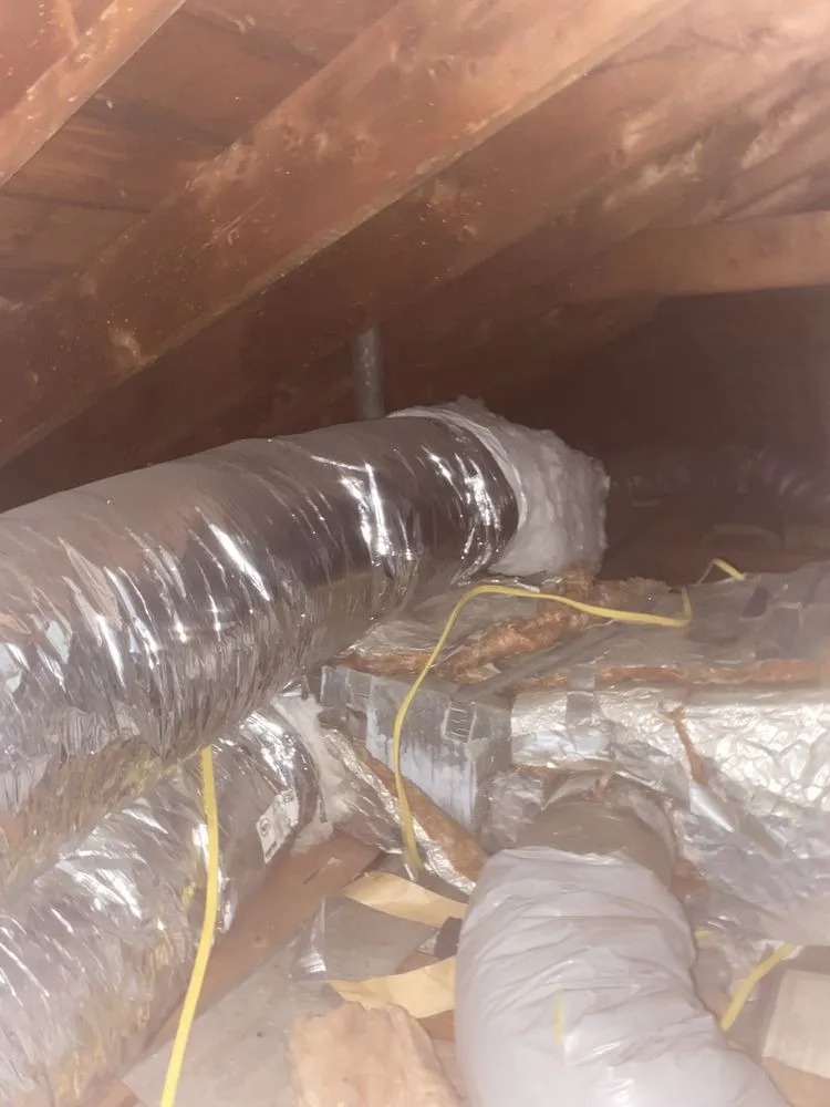 Slide of Gold Medal Service