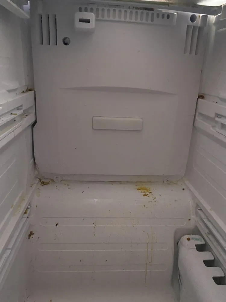 Slide of Gold Star Appliance