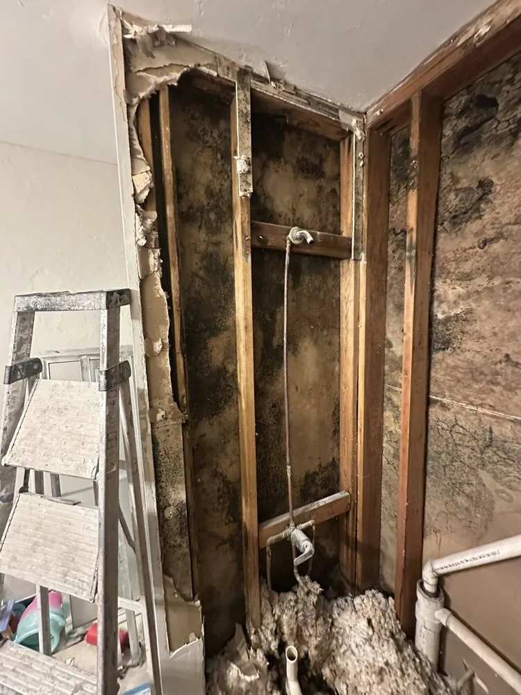 Slide of Gold Star Mechanical