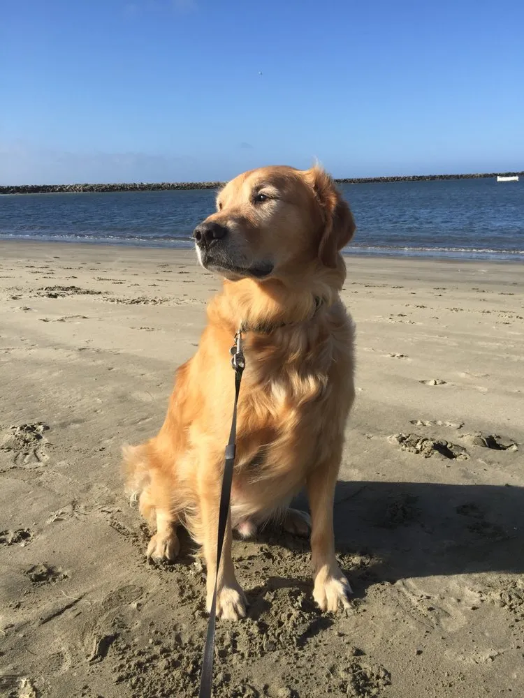 Slide of Golden Appliance Repairs