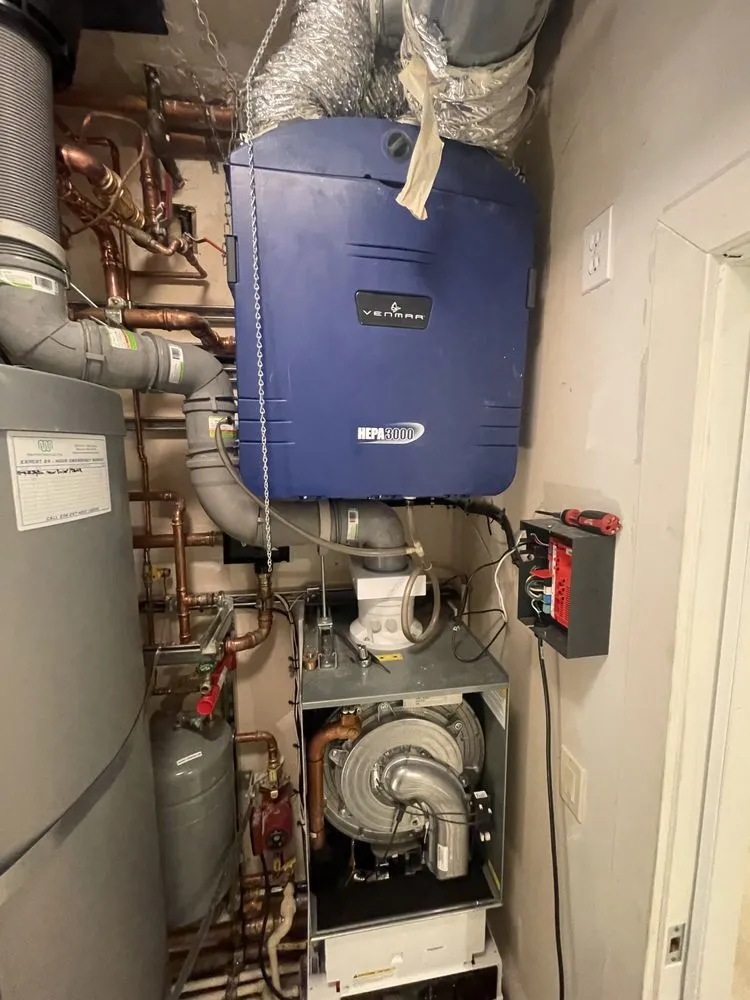 Slide of Golden Comfort