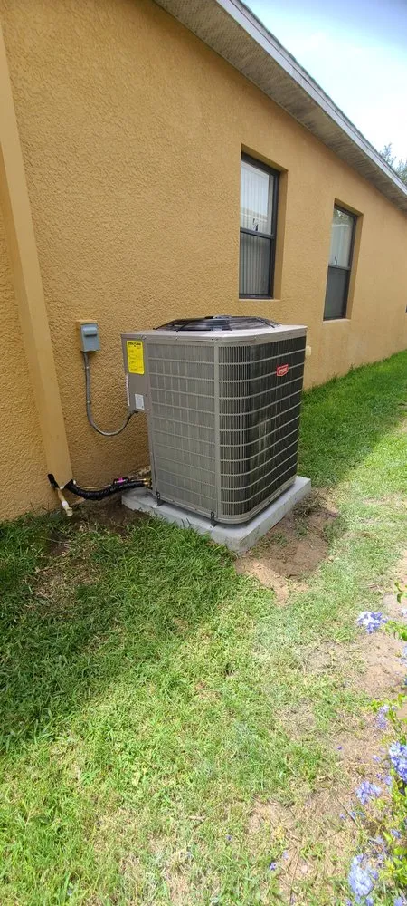 Slide of Golden Comfort