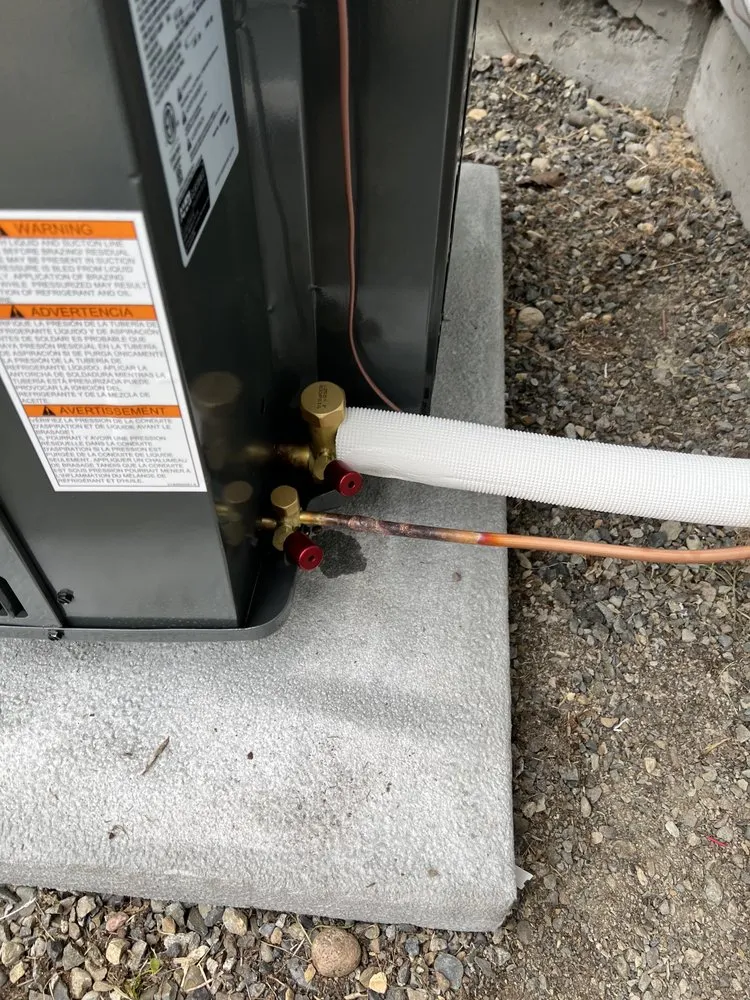 Slide of Golden Comfort