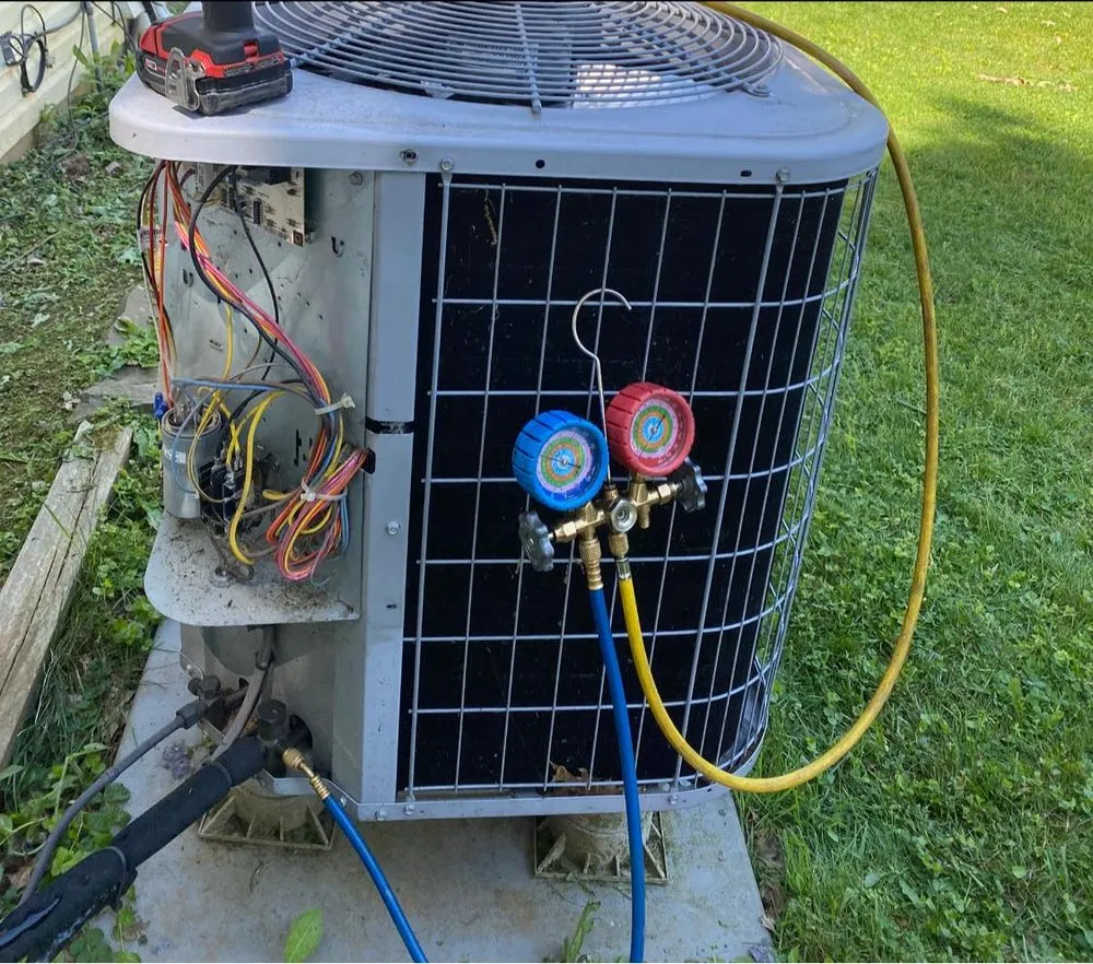 Slide of Golden Comfort