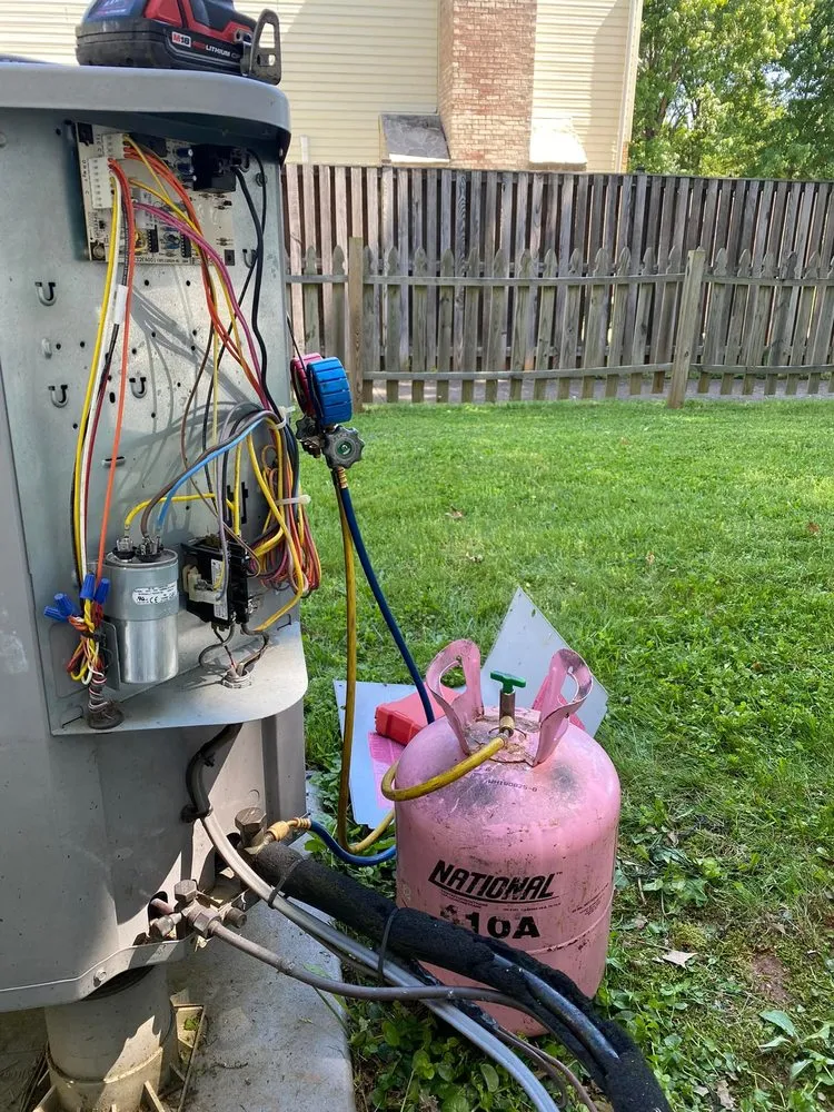 Slide of Golden Comfort