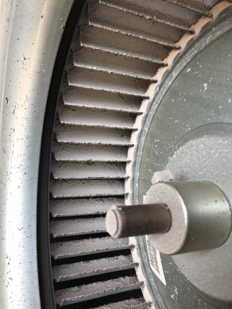 Slide of Golden Gate Ducts