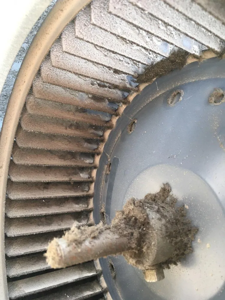 Slide of Golden Gate Ducts