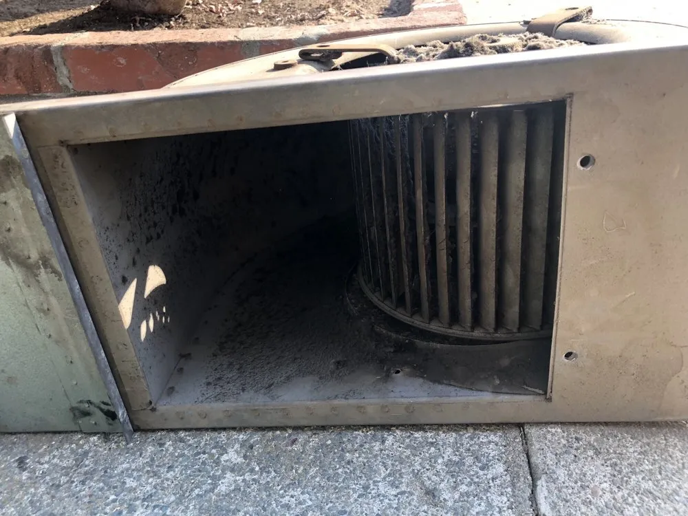 Slide of Golden Gate Ducts